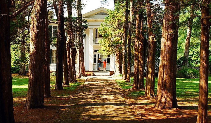 Road leading to Rowan Oak, William Faulkner's home in Oxford, Mississippi