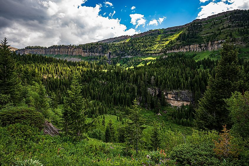 View to Darby Canyon in Victor, Idaho.